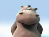 hippo - aşka gel