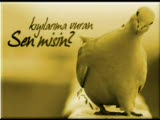 Ben Bu Şehirde En Çok Seni Sevdim (K)