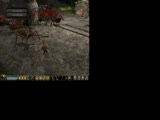 Metin2 De Hile Kullanıyor