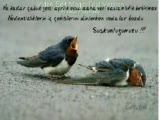Selahattin Özdemir - Elveda Selahattin Özdemir - Elveda