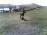at