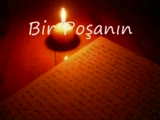 bir poşanın aşk mektubu