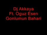 Dj Akkaya Ft. Oguz Esen - Gonlumun Bahari (2009)