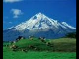 Kafkas Kartali-Ömer Çelik -Dağlar