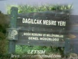 Kozan Türküsü