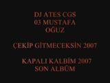Dj Ates - Çekip Gitmeyecektin