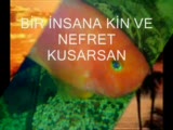 Turgay Deli Den Özlü Sözler!!!!!!!!
