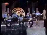 Manda Yuva Yapmış Söğüt Dalına