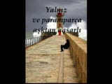 Funda Arar