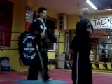 hapkido savunma teknikleri 1