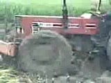 traktör 8066