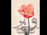 Mevlana Celaleddın Rumi Saba Ney Taksimi