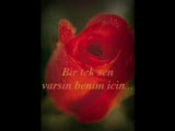 Seni Çok Seviyorum