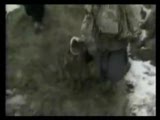 Kardeş Türküler - Kerwane Kardeş Türküler - Kerwane