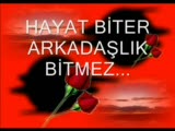 Muş,bulanık,gençlik