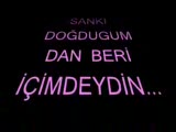 Seni Seviyorum
