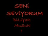 Sevdigim