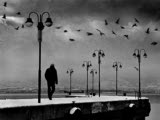 Gece Dostu-Tripkolik