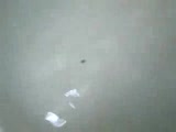 Canı Sıkılan Kızlar Duşta :))