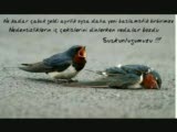 Ataman Erkul