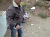 taklacı güvercin kırıkkaleli gök yavru