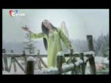 Aynur Haşhaş - Yüce Dağlar