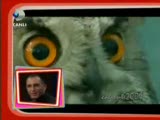beyaz show - memati/hayvanlar alemi