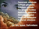Serseri Borckalı 95
