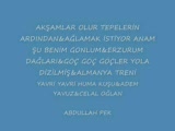 Türkü Ziyafeti