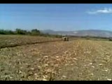 Massey Ferguson 255t Ve 4lü 12 No Dönerli Pulluk