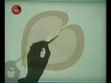 Ömer Lütfi Mete Anısına - Ebruli İle Birlikte Ayrılık