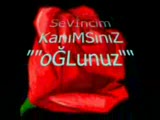 mehmet yılmaz