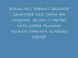 adanadakİ dev katİl cobra yilani