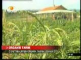 Baran Organik Tarım - Olay Tv