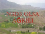 Nede Olsa Agrılı