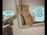 maksat muhabbet olsun komikleris
