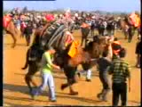 aydınpulluk 2 devesinin kasım 2009 turanlar ilk gü