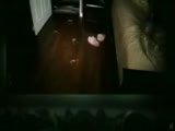 paranormal activity fragman - ruzgarınoglu