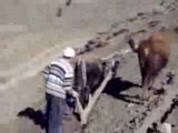 Öküzle Çift Sürmek, Teknolojik Gelişme,