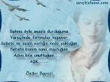 Canım Yanıyor..