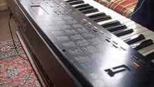 roland e40 kesik çayır