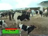 Gezginler Den Keyifli Anlar