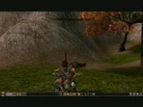 metin2 yakamoz