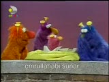 susam sokağı - kornagiller -