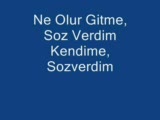 Gelin Oldun Ellere