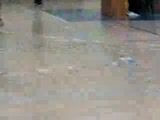 talas mini voleybol