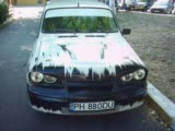 modifyeli toroslar
