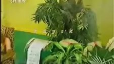 Defne Samyeli'nin Şok Klip Görüntüleri!