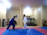 ninbudo aikijutsu