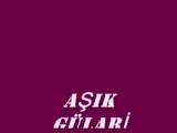 Aşık Gülabi - İhtiyarlık Düştü Sere Aşık Gülabi - İhtiyarlık Düştü Sere